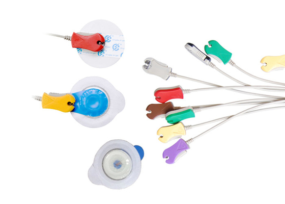 Plastic Stress Ecg Machine With Fan Type Acquisition Usb Cable To Computer