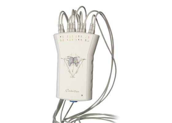 Simultaneous 12 Lead Handheld Ecg Machine Small Fan Type Grey Recorder